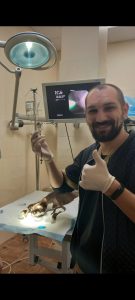 Видалення чужорідного тіла з шлунку методом гастроскопії
