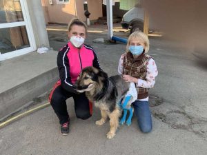 Фитнес для собак с тейпированием